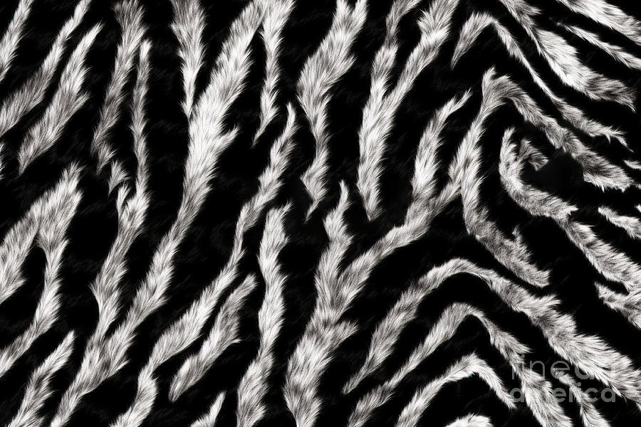 Seamless Soft Fluffy Zebra Or Tiger Stripe African Safari Wildlife Pattern  Realistic Black And White Cozy Long Pile Animal Skin Print Rug Or Winter  Fur Coat Fashion Background Texture 3d Rendering Painting