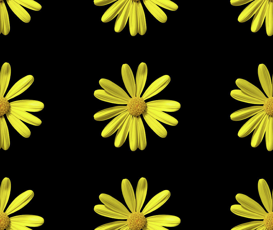 Seamless yellow daisy pattern Photograph by Fabiano Di Paolo