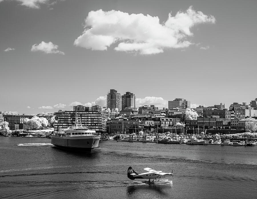 Victoria British Columbia harbor, seaplane and ferry art, black and white coastal decor, Victoria ci Photograph by Yves Gagnon Victoria British Columbia harbor, seaplane and ferry art, black and white coastal decor, Victoria ci Photograph by Yves Gagnon