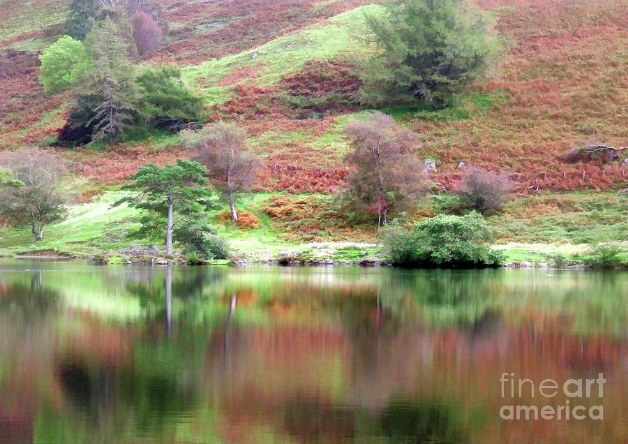 Searching for Autumn colours 10 Digital Art by David Hargreaves