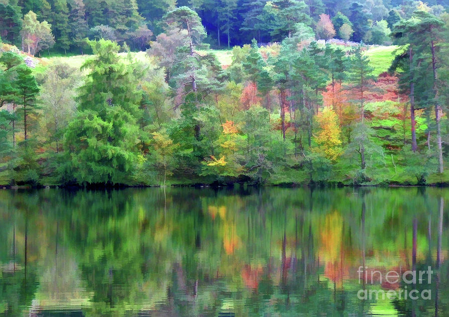 Searching for Autumn colours 4 Digital Art by David Hargreaves