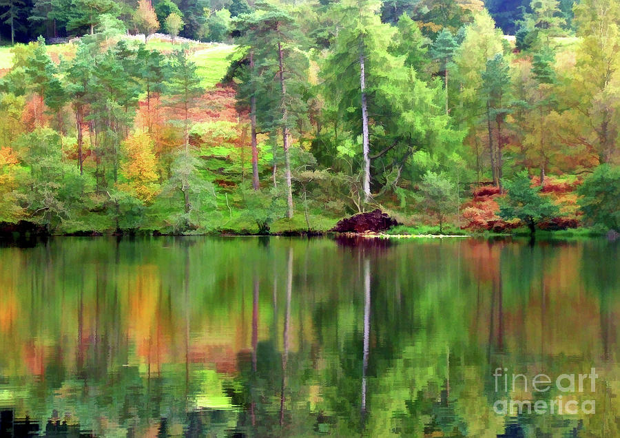 Searching for Autumn colour 5 Digital Art by David Hargreaves