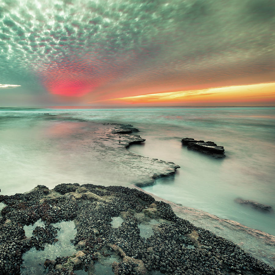Beach Photograph - Searchlight Sunset by Alexander Kunz