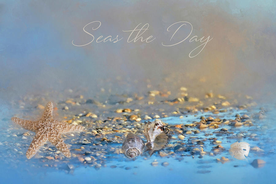 Seas the Day Photograph by Donna Kennedy