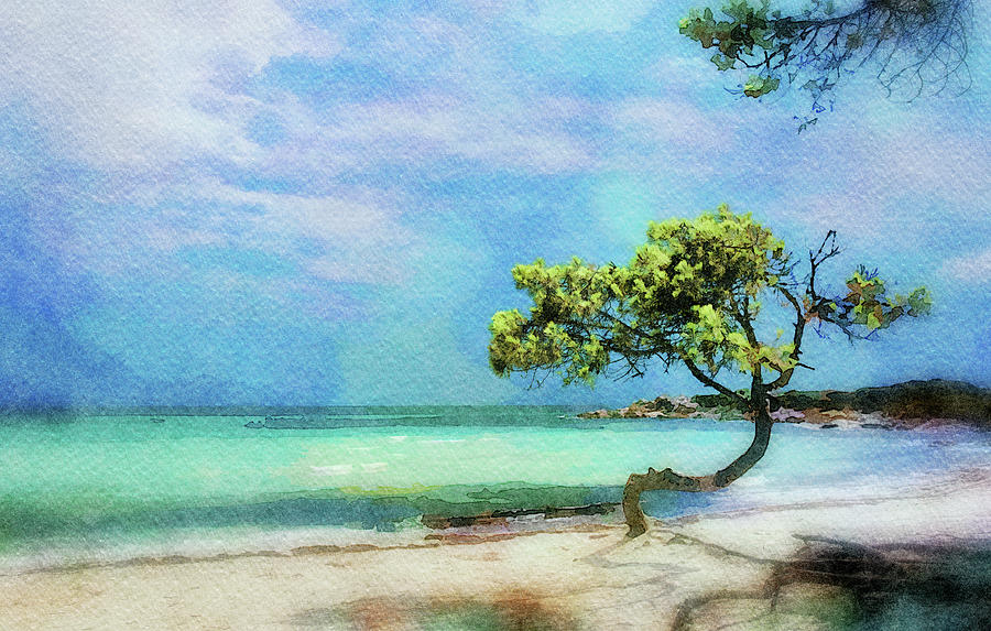 Seascape art, Lonely tree on the beach Photograph by Michalakis Ppalis