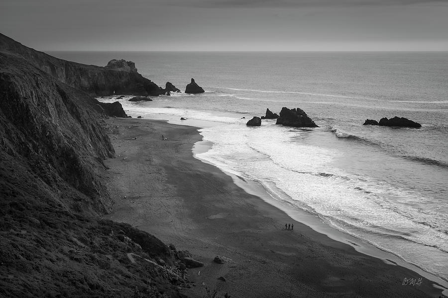 Seascape Jenner California VI BW Photograph by David Gordon