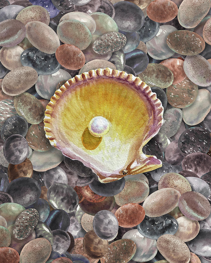 Seashell And Pearl On The Beach Rocks Pebbles Watercolor Painting