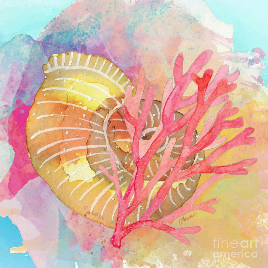 Seashell and Red Coral by Olga Hamilton Seashell and Red Coral by Olga Hamilton