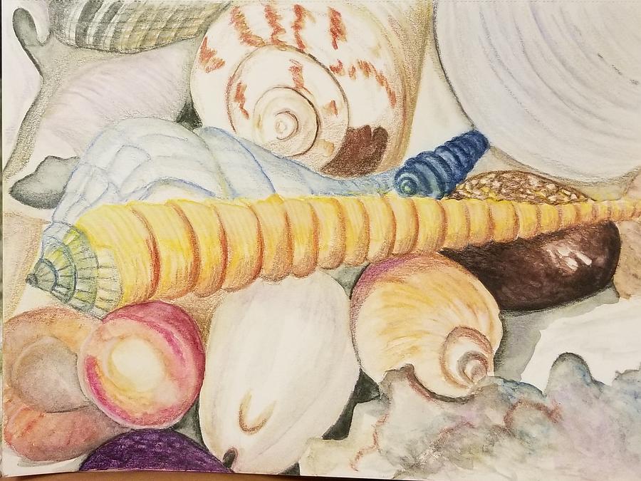 Seashell Collage Painting by Monica Habib