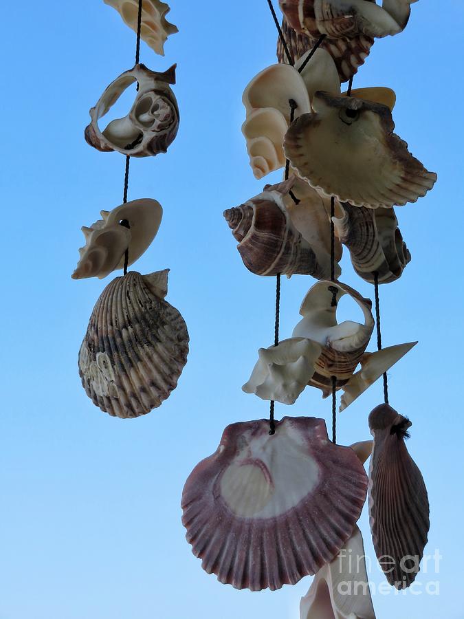 Seashell Mobile Photograph by Diana Rajala