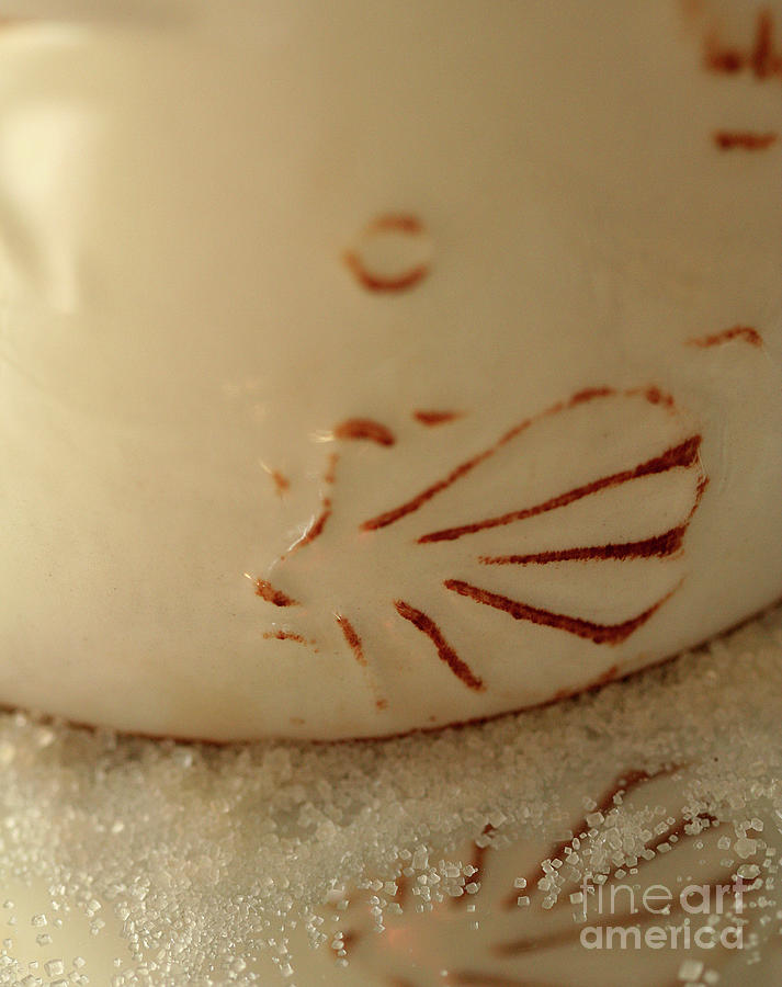 Coffee Photograph - Seashell Mug by Helena M Langley