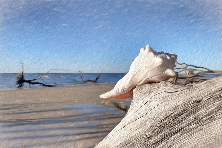 Seashell Painted-1 Digital Art by John Kirkland