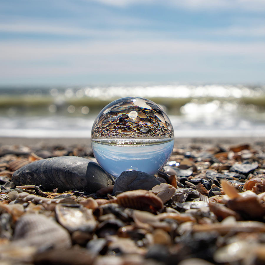Seashell Reflections Photograph by Stephanie Hobbs