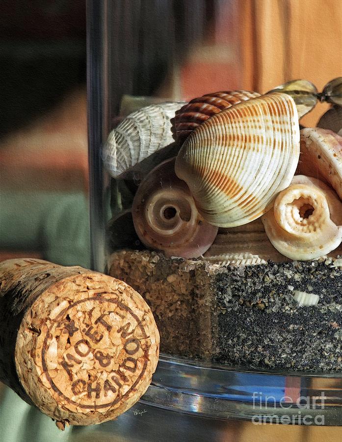 Seashell Still Life Photograph by Diana Rajala