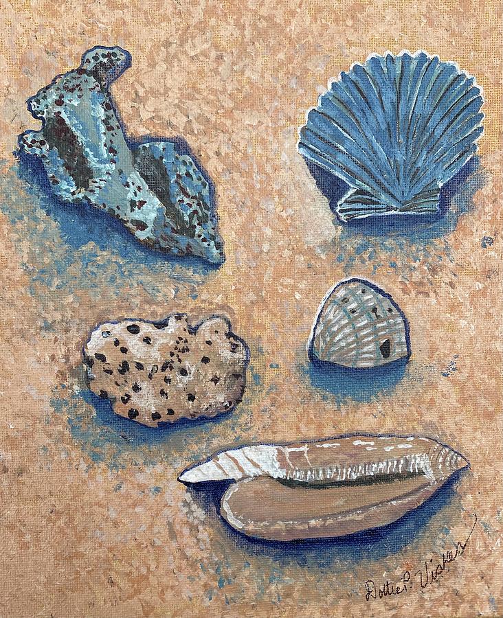 Seashell study  Painting by Dottie Visker