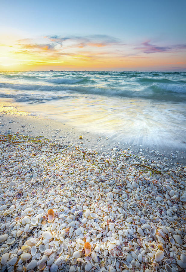 Morning Seashells and Waves At Sanibel Island Photograph by Jordan Hill