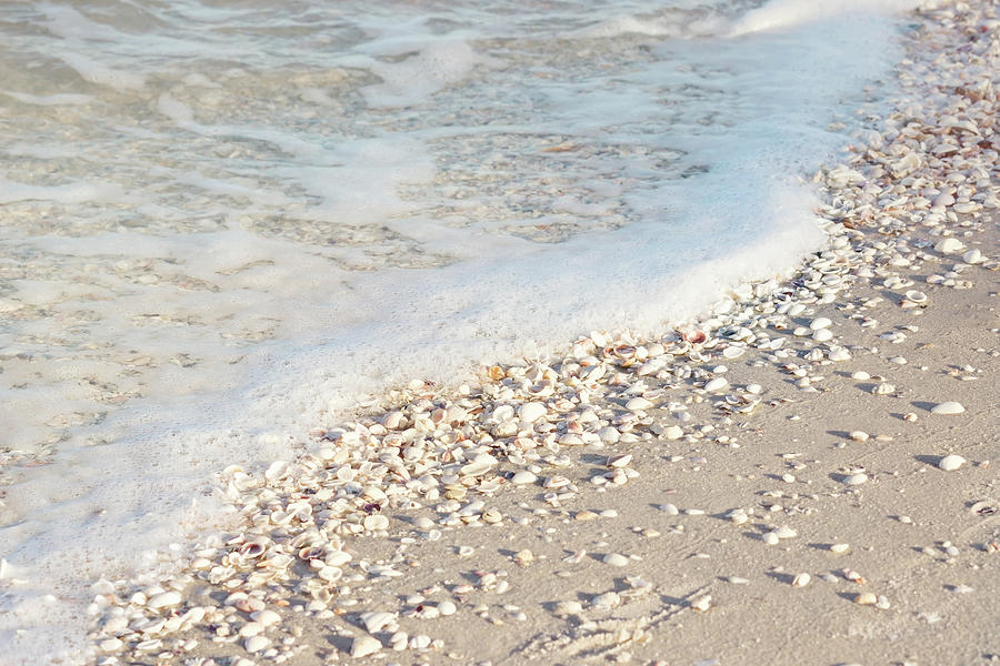 Seashells at the Seashore Photograph by Kim Hojnacki