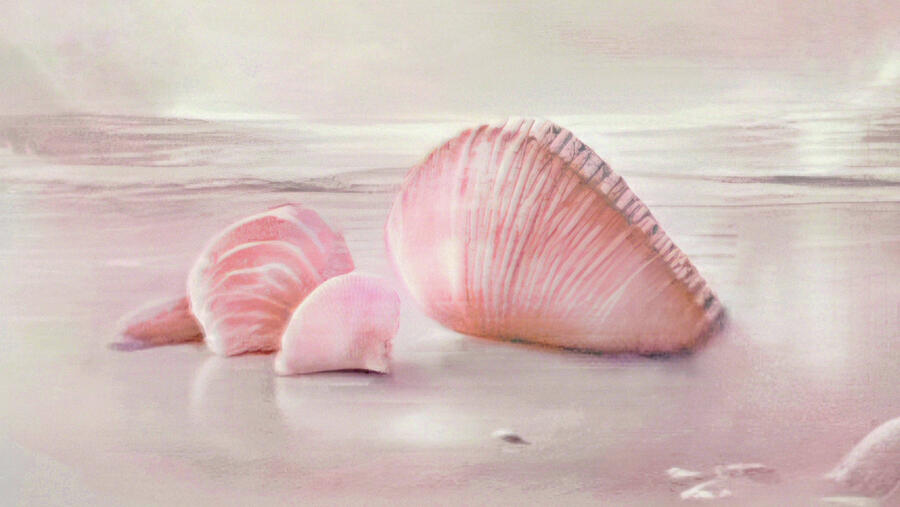 Seashells On The Beach. Abstract Seascape In Pastel Pink Digital Art