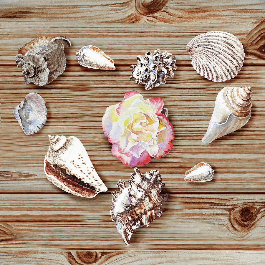 Seashells In Form Of A Heart With Rose Flower Beach Watercolor Art  Painting by Irina Sztukowski