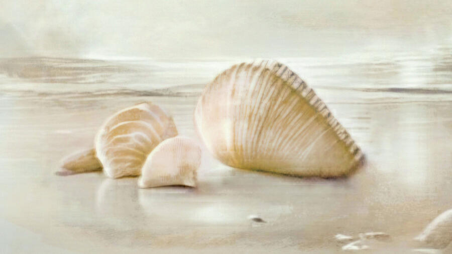 Seashells On The Beach. Abstract Seascape In Beige Digital Art