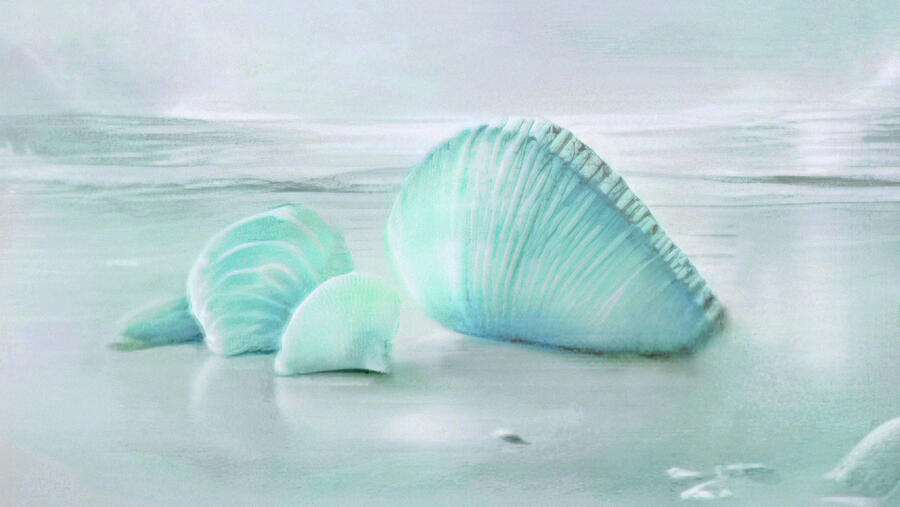 Seashells On The Beach.  Abstract Seascape In Pastel Blue Digital Art