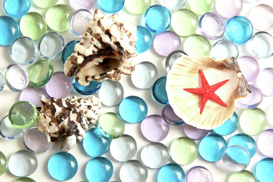Seashells Starfish And Glass Photograph