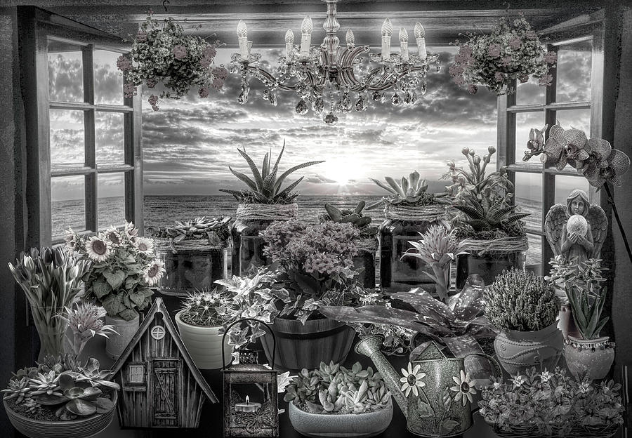 Seaside Garden in a Window in Black and White  Photograph by Debra and Dave Vanderlaan