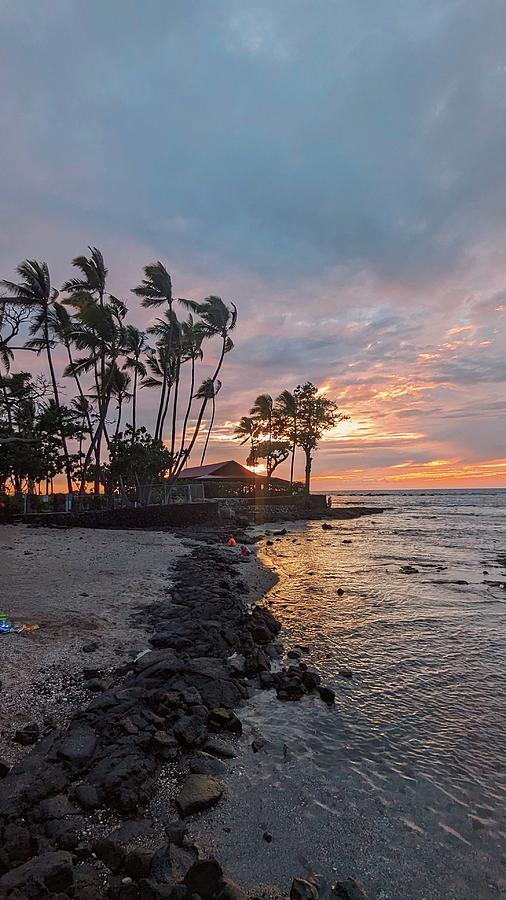 Seaside palms sunset Photograph by Lori Seaman
