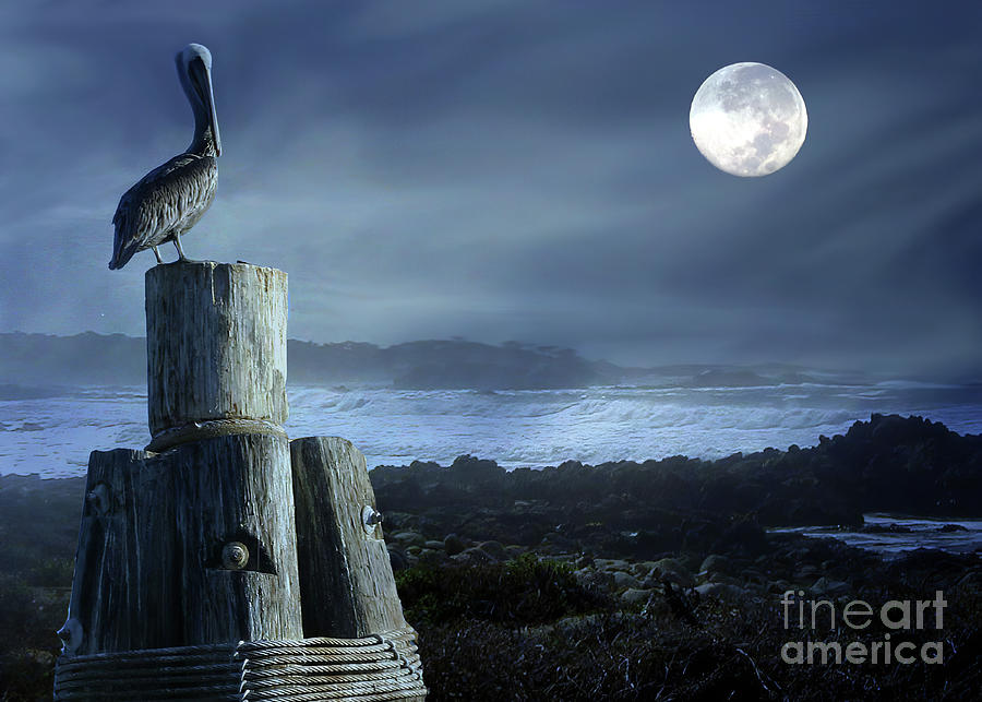 Seaside Pelican on Pilings with Full Moon Photograph by Stephanie Laird