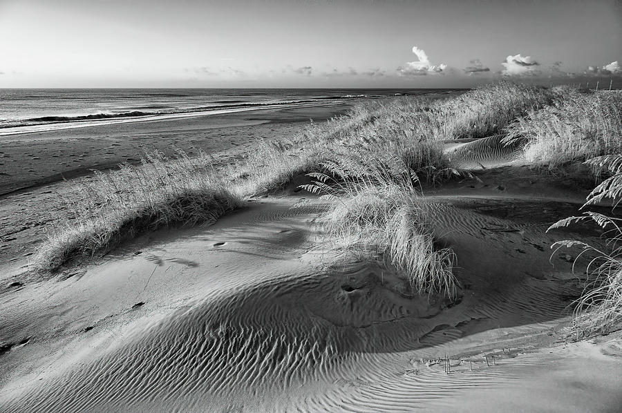 Seaside Serenity bw Photograph by Dan Carmichael