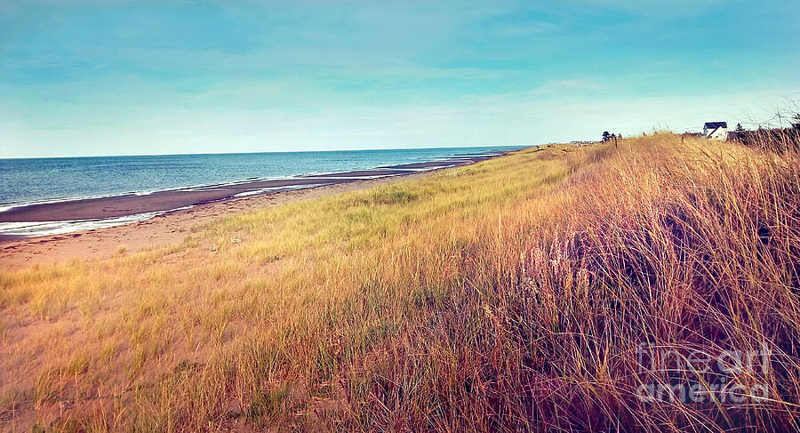Beach Pyrography - Seaside Serenity by Pat Davidson