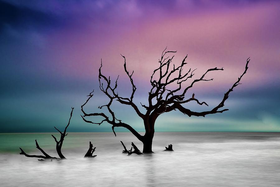 Seaside Solitude in Georgia Photograph by Frozen in Time Fine Art Photography
