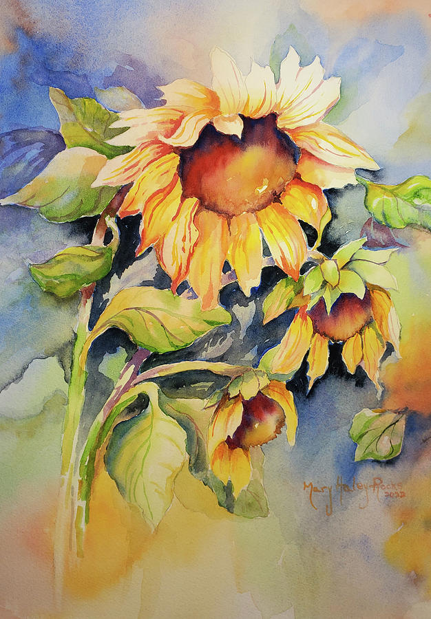  Sunflower Glow Painting by Mary Haley-Rocks