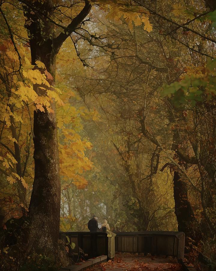 Fall Photograph - Seasonal Changes #1 by Iina Van Lawick
