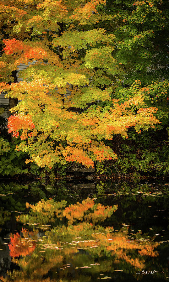 Seasonal Colors Photograph by Jim Carlen
