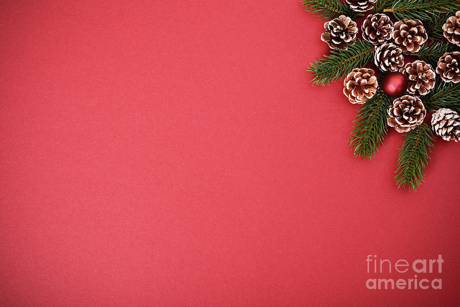 Seasonal greeting card concept with pine cones and evergreen bran Photograph by Mendelex Photography
