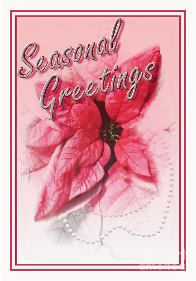 Seasonal Greetings Pink Poinsettia Floral Seasonal Holiday Digital Art by Delynn Addams