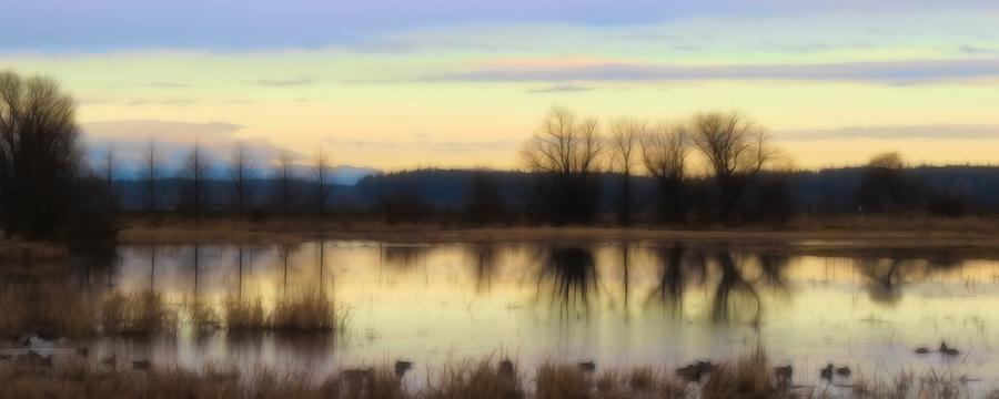 Seasonal Wetlands in Winter Photograph by Iina Van Lawick