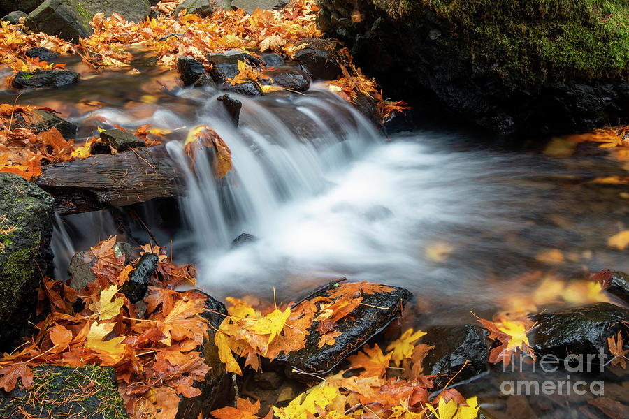 Fall Photograph - Seasons Below by Michael Dawson