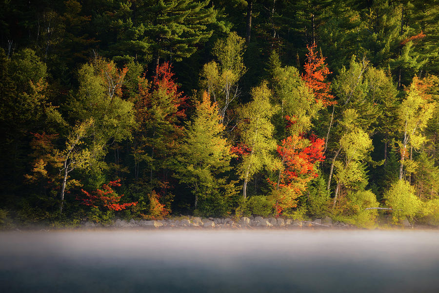 Seasons Color Palette Photograph by Henry w Liu
