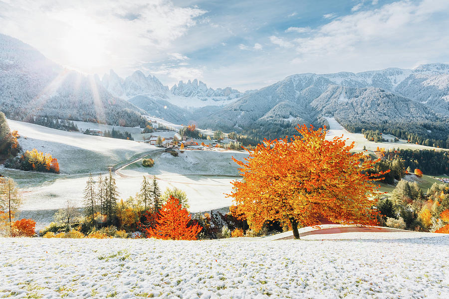 Seasons Photograph by Francesco Riccardo Iacomino