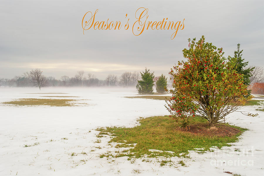 Season's Greetings - Lonely Shrub by Len Tauro Season's Greetings - Lonely Shrub by Len Tauro