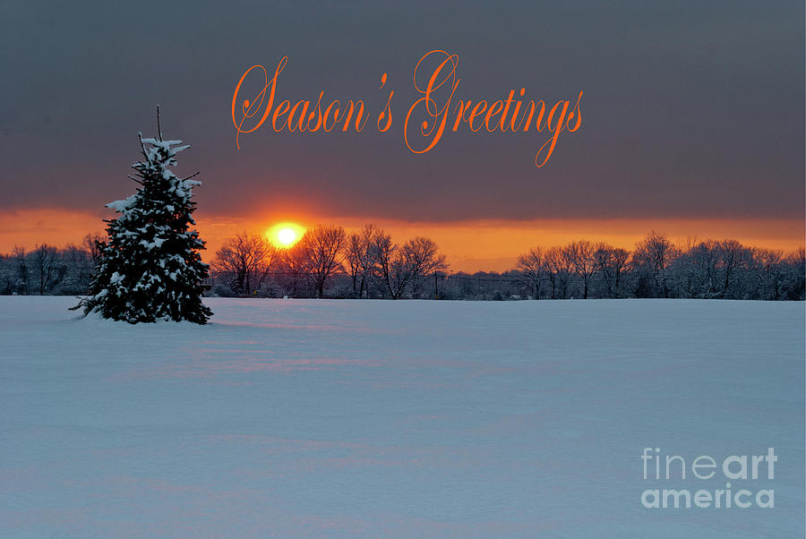 Season's Greetings- Lonely Tree by Len Tauro Season's Greetings- Lonely Tree by Len Tauro
