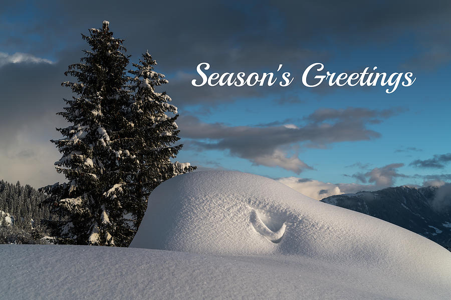 Seasons Greetings - Smile in the Snow Photograph by Stan Weyler