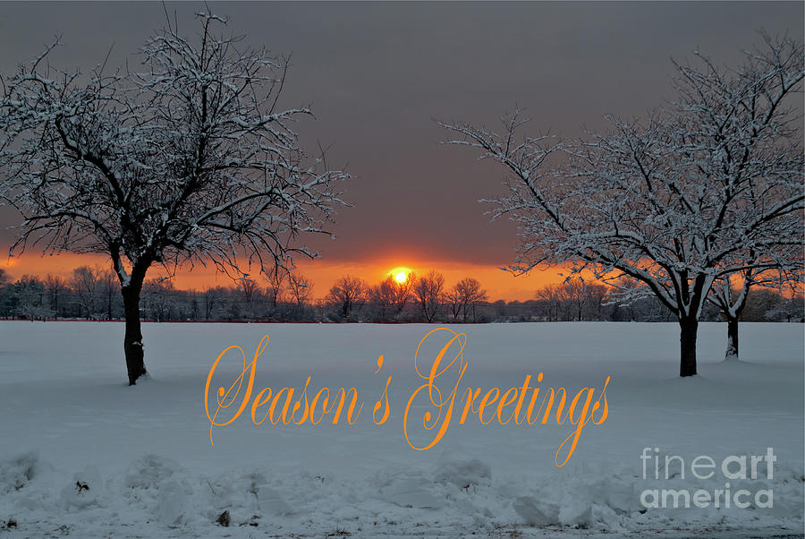 Season's Greetings - Tree Pair by Len Tauro Season's Greetings - Tree Pair by Len Tauro