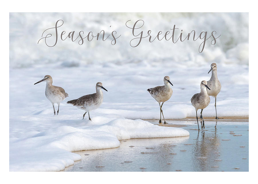 Seasons Greetings Willets Photograph by Cyndi Goetcheus Sarfan