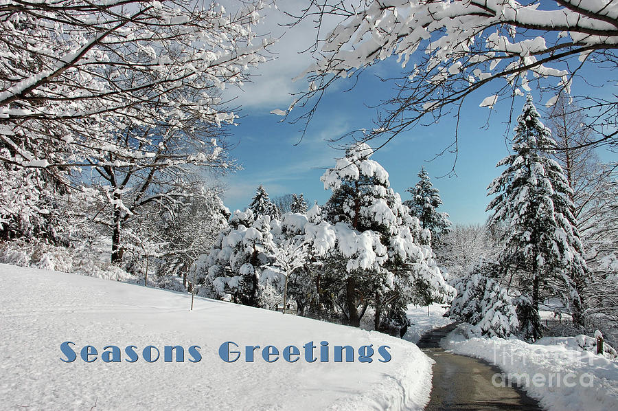 Seasons Greetings Winter Scene Photograph by Elaine Manley