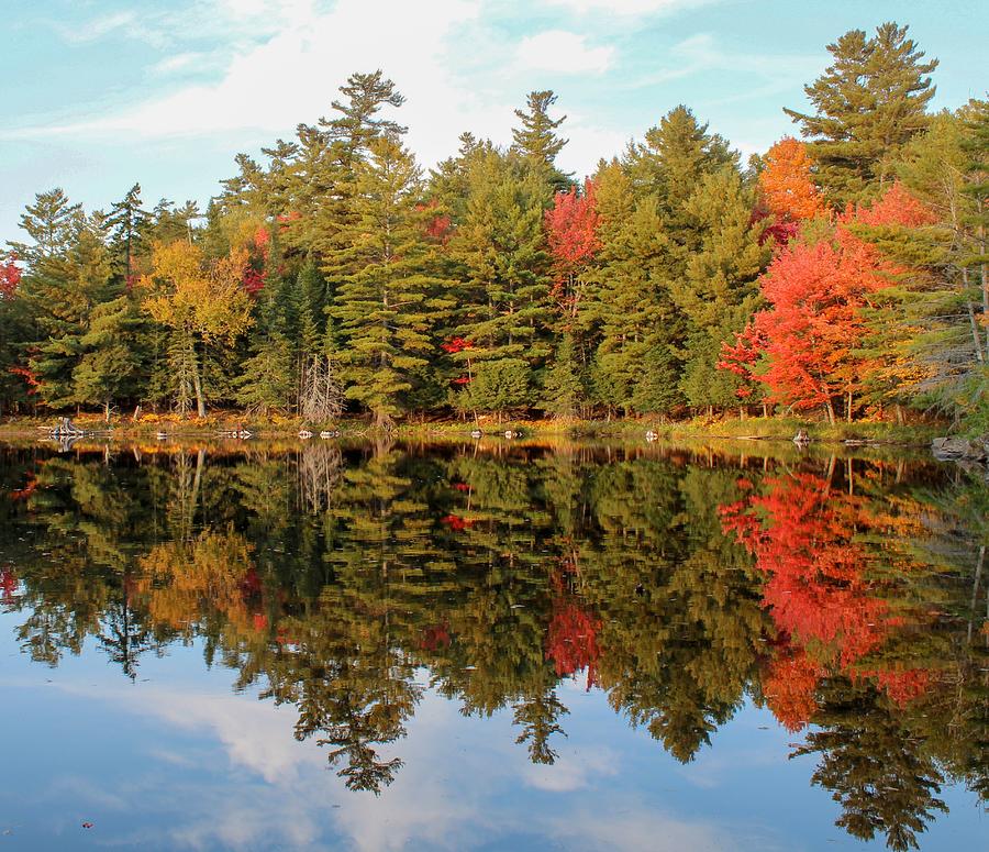 Seasons Photograph by Keith Gonia | Fine Art America