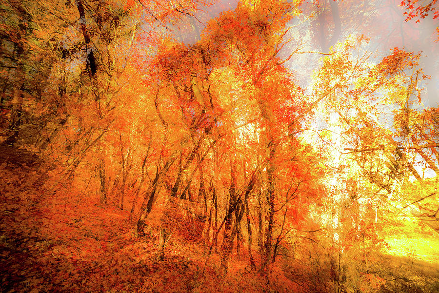 fourth of july canyon fall colors 2025