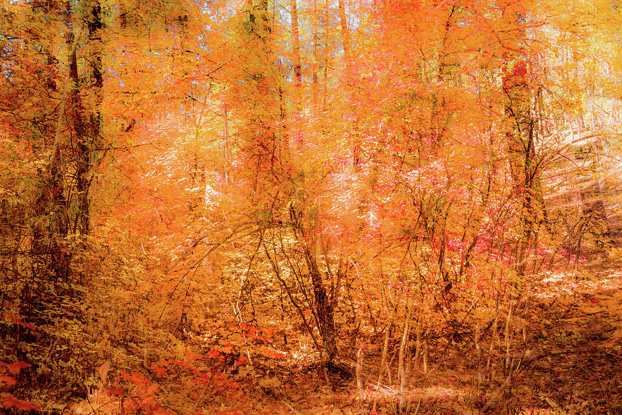fourth of july canyon fall colors 2025